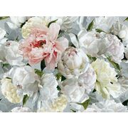 Thumb_pdg1102_01_s_m_1