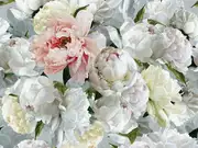 Thumb_pdg1102_01_s_m_1