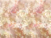 Thumb_pdg1106_01_1