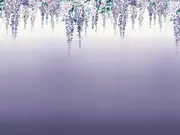 Thumb_pdg657_02_1