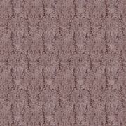 Thumb_1_3132_060_1