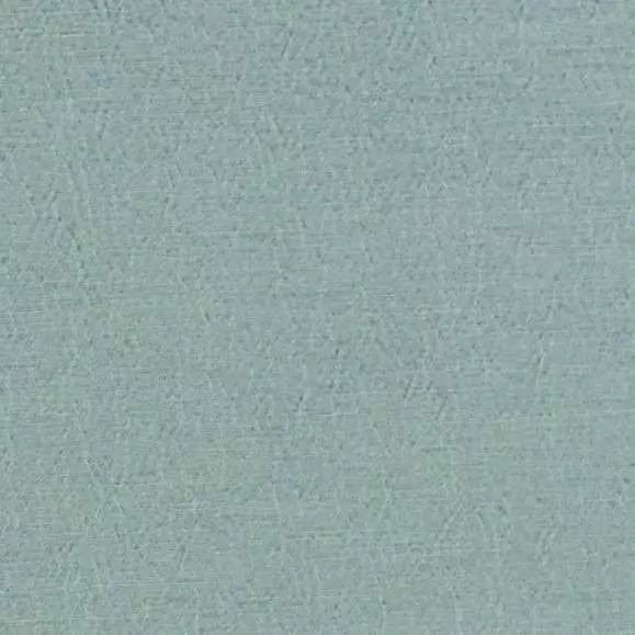 Big_fdg2896_02_1