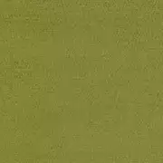 Thumb_fdg2896_41_1