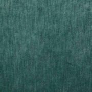 Thumb_fdg2700_31_1