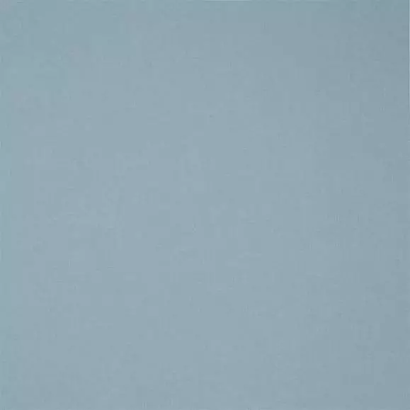 Big_fdg2898_04_1