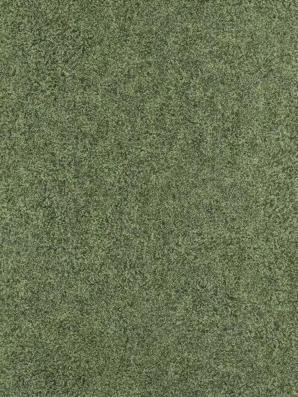Big_312905_1