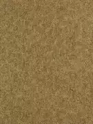Thumb_312904_1