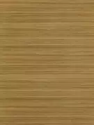 Thumb_312899_1