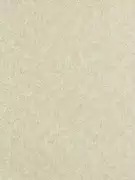 Thumb_312908_1