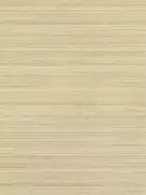 Thumb_312900_1