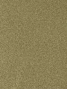 Thumb_312918_1