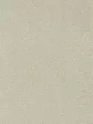 Thumb_312924_1