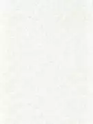 Thumb_312956_1