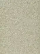 Thumb_312959_1