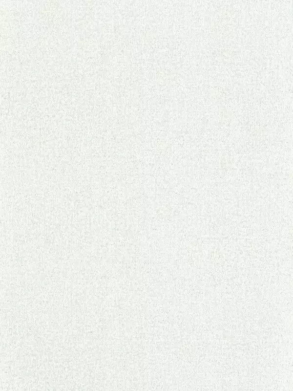 Big_312951_1