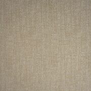 Thumb_soho_fox_102_1