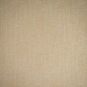 Thumb_soho_fox_104_1