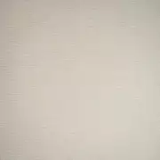 Thumb_soho_caribou_1014_1