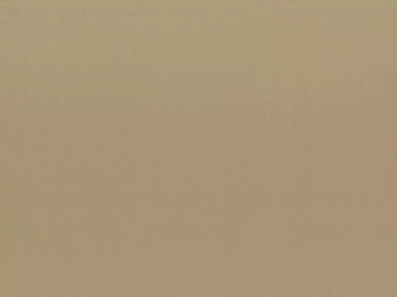 Big_2657_25_1