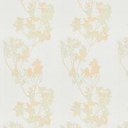 Thumb_1_8898_030_1