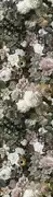 Thumb_7454_01_w_1