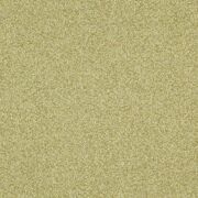 Thumb_f7411_02_1