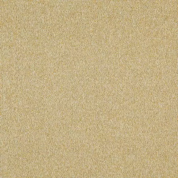 Big_f7411_10_1