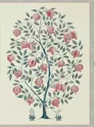 Thumb_216790_1