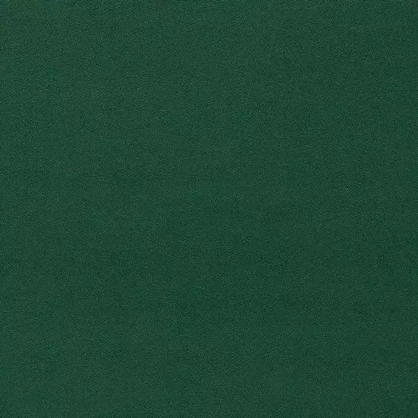 Big_236998_1