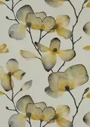 Thumb_111958_1