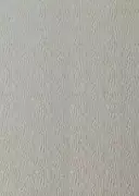 Thumb_131307_1