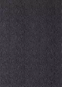 Thumb_131308_1