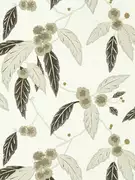 Thumb_112134_1