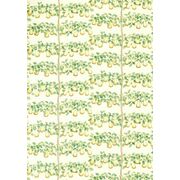 Thumb_226735_1