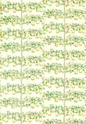 Thumb_226735_1