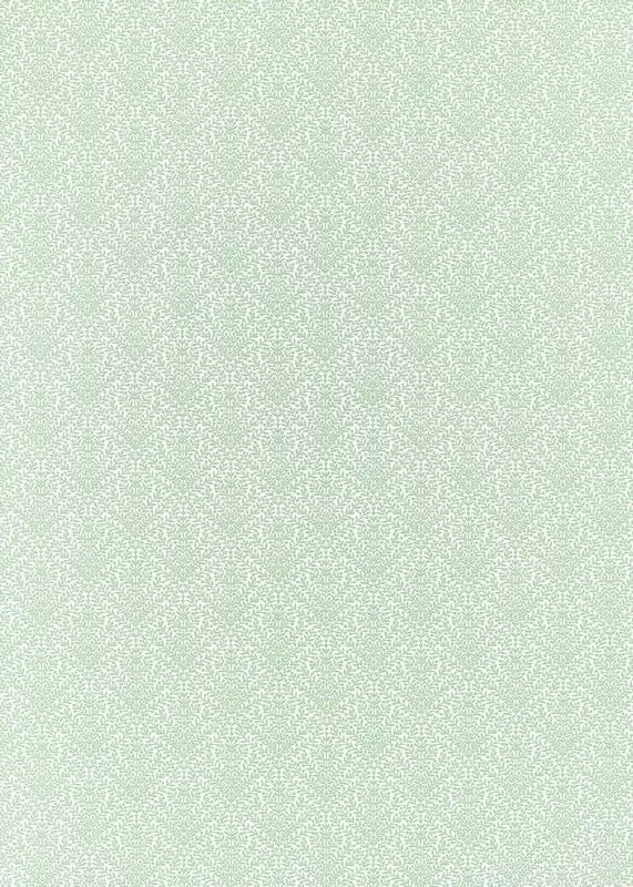 Big_237205_1