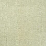 Thumb_capri_rhino_420_1