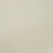 Thumb_capri_rhino_423_1