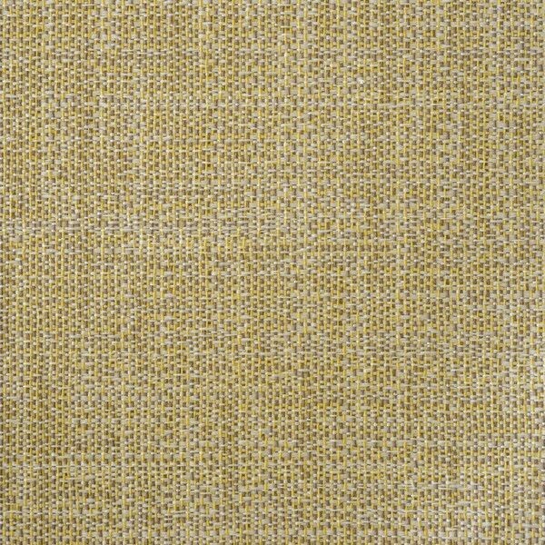 Big_capri_rhino_434_1