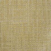 Thumb_capri_rhino_434_1