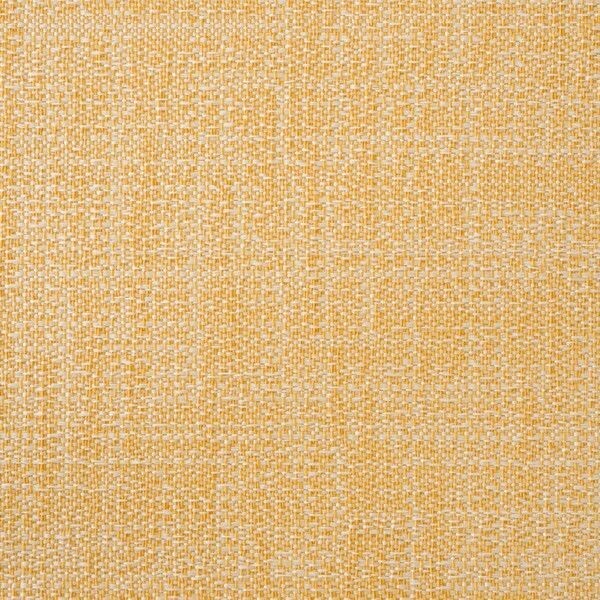 Big_capri_rhino_427_1