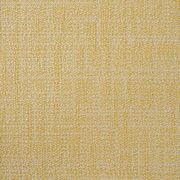 Thumb_capri_rhino_426_1