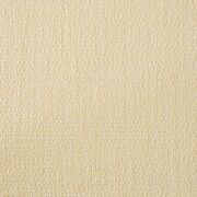 Thumb_capri_rhino_440_1