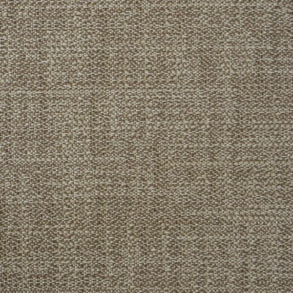 Big_capri_rhino_429_1