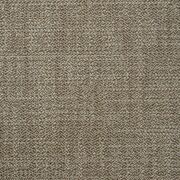 Thumb_capri_rhino_429_1