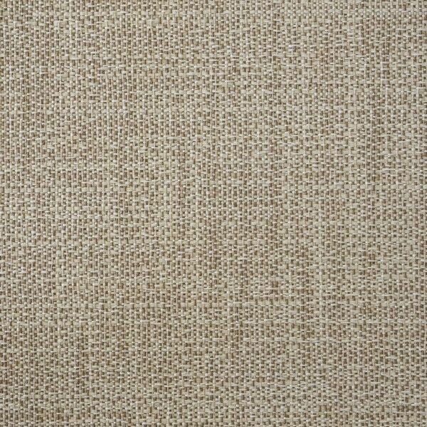 Big_capri_rhino_430_1