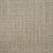 Thumb_capri_rhino_430_1