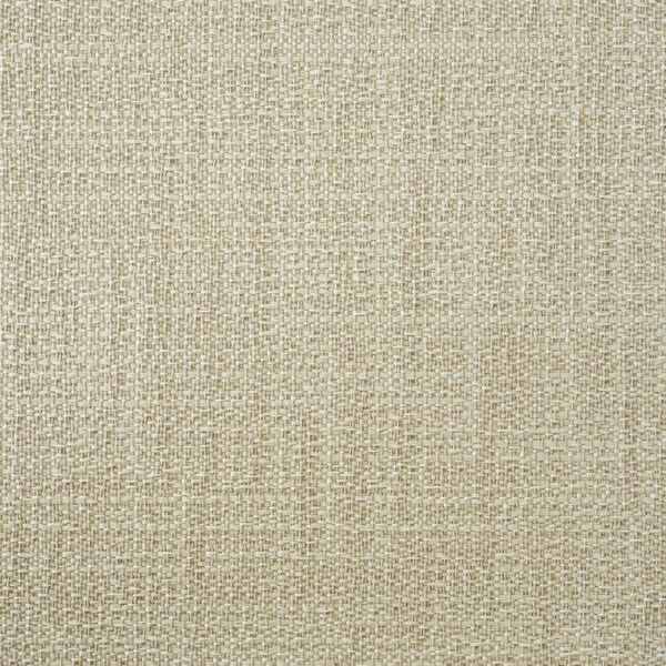 Big_capri_rhino_435_1