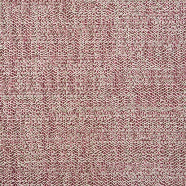 Big_capri_rhino_433_1