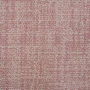 Thumb_capri_rhino_433_1